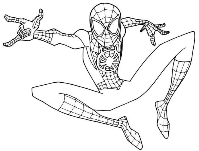 Spider man coloring book