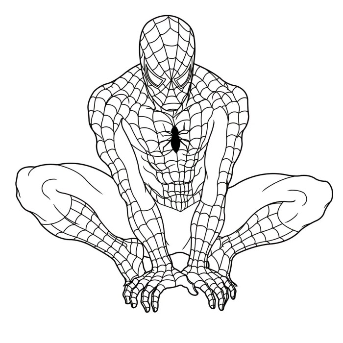 Spider man coloring book