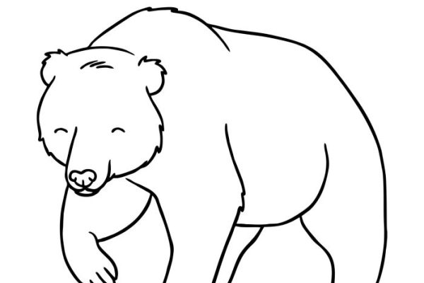 Brown bear coloring book