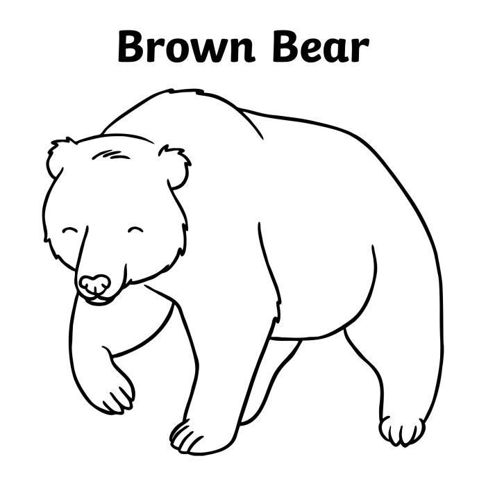 Brown bear coloring book