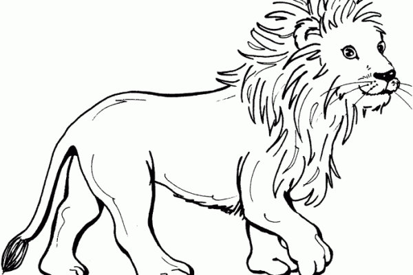 Lion coloring book page