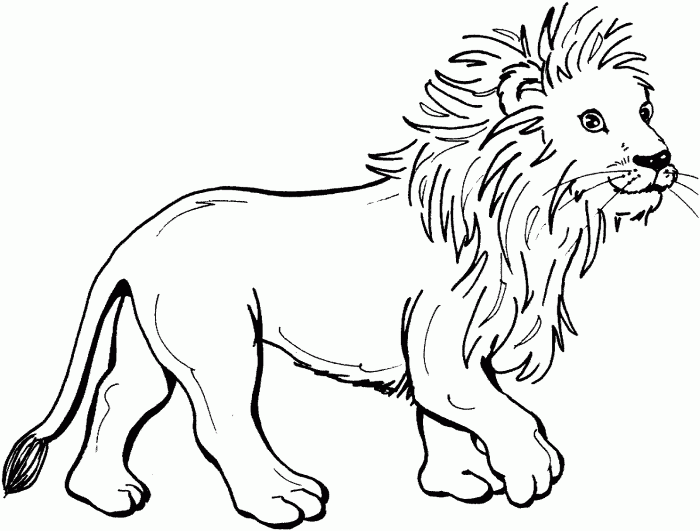 Lion coloring book page